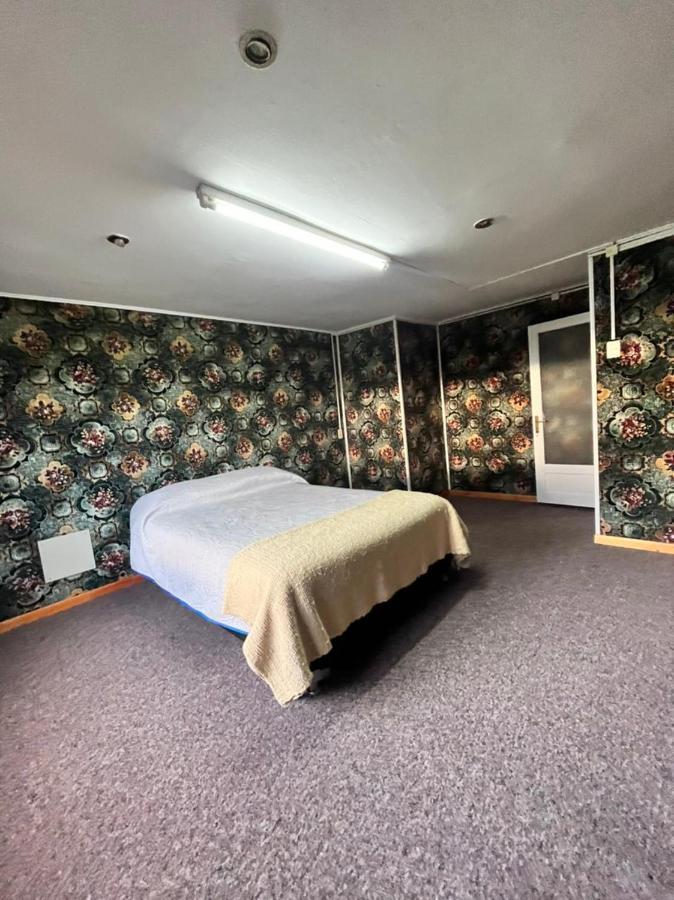 Bosque Patagonia Cabana Puerto Natales